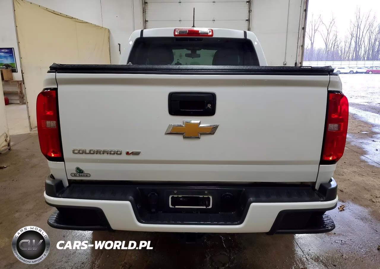 2019 Chevrolet Colorado VIN:1GCGTBEN4K1318027 - 6