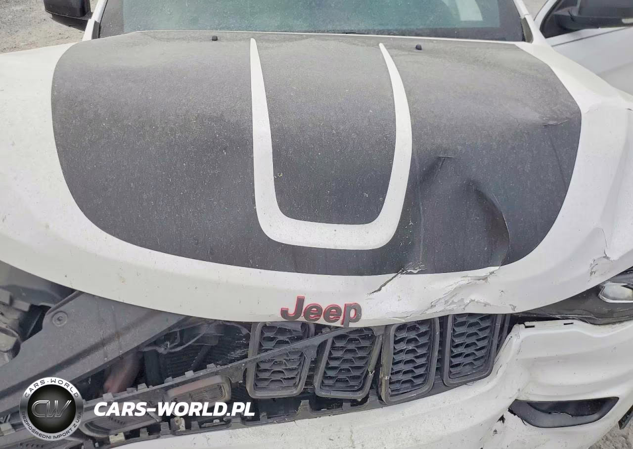 2020 Jeep Grand Cherokee Trailhawk VIN:1C4RJFLT2LC189797 - 12