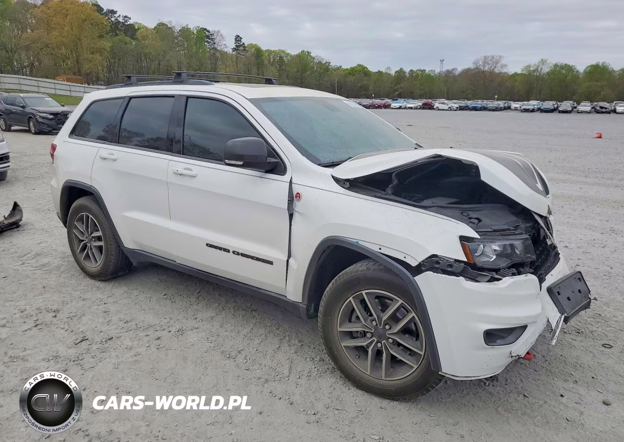 2020 Jeep Grand Cherokee Trailhawk VIN:1C4RJFLT2LC189797 - 4