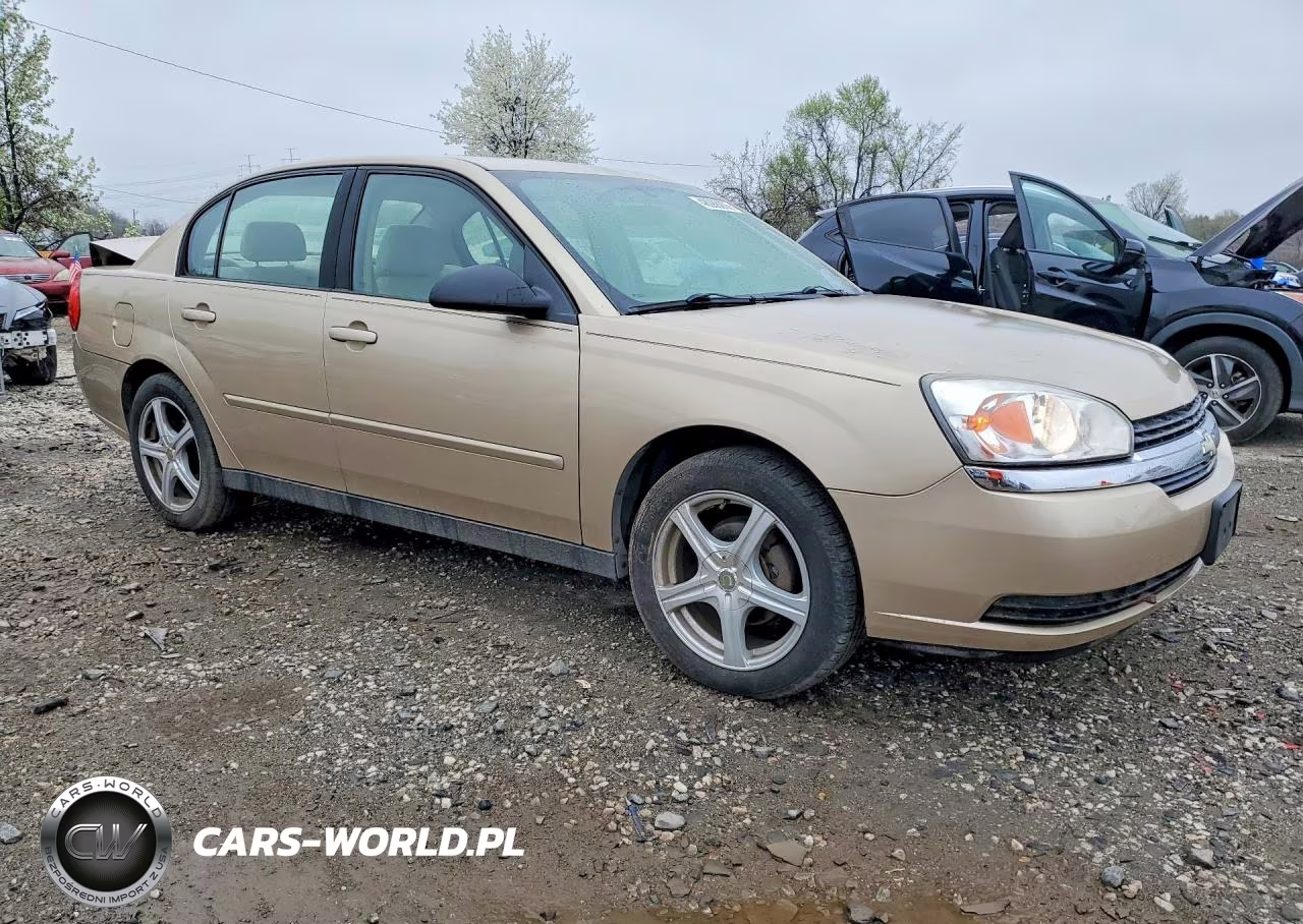 2005 Chevrolet Malibu Ls VIN:1G1ZT52885F328021 - 4