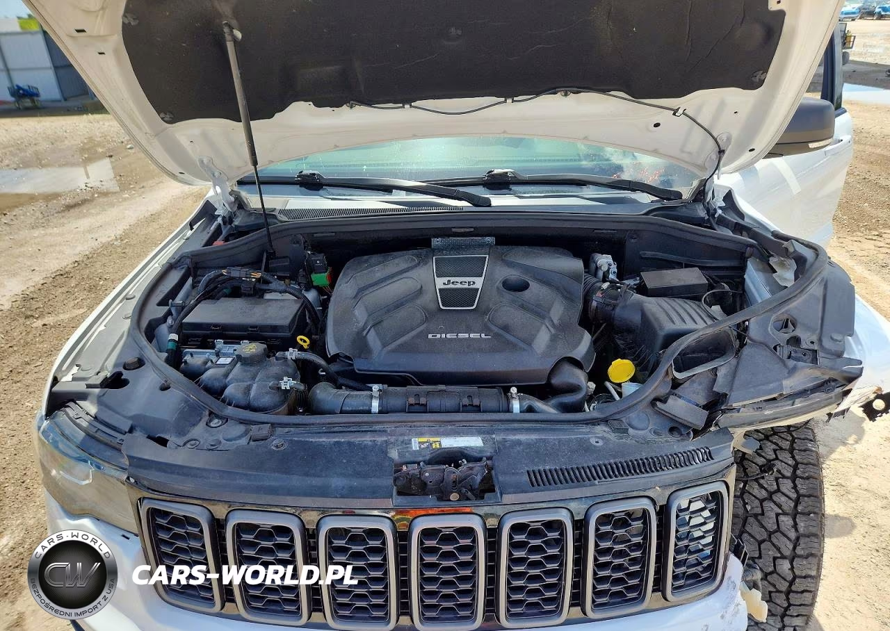 2018 Jeep Grand Cherokee Trailhawk 4X4 VIN:1C4RJFLMXJC423996 - 12