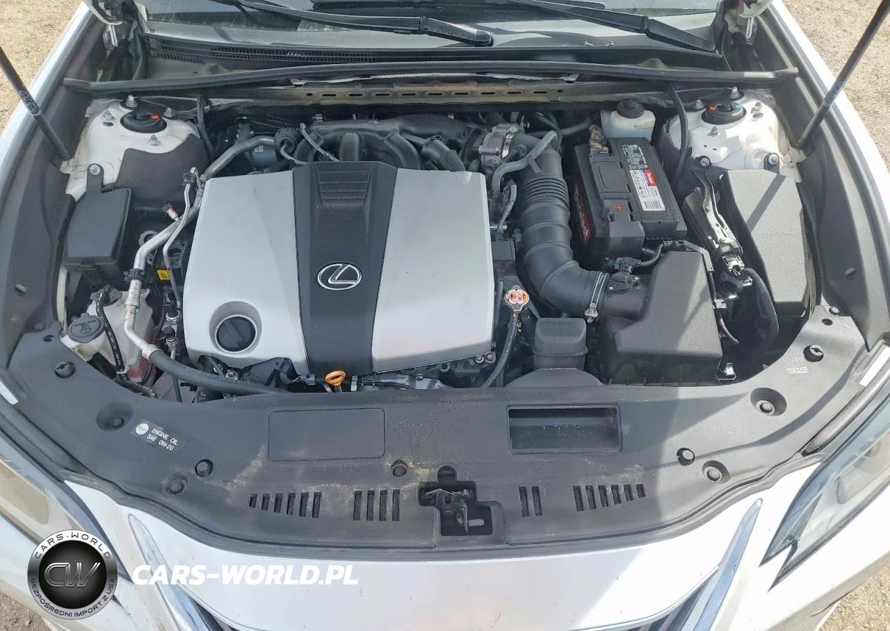 2020 Lexus Es 350 Base VIN:58ADZ1B12LU073987 - 11