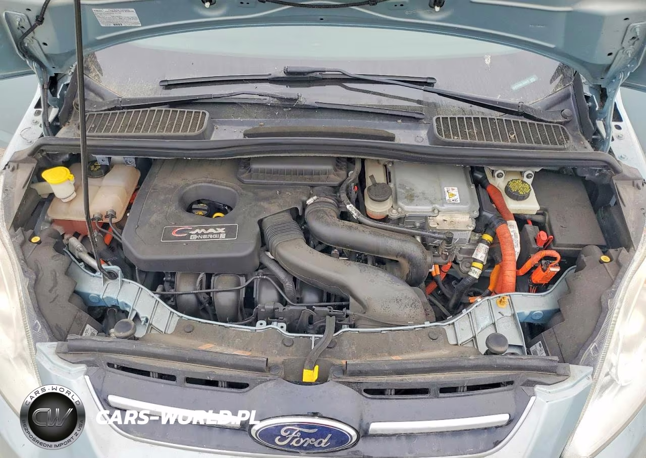 2014 Ford C-Max Premium VIN:1FADP5CU8EL503425 - 11