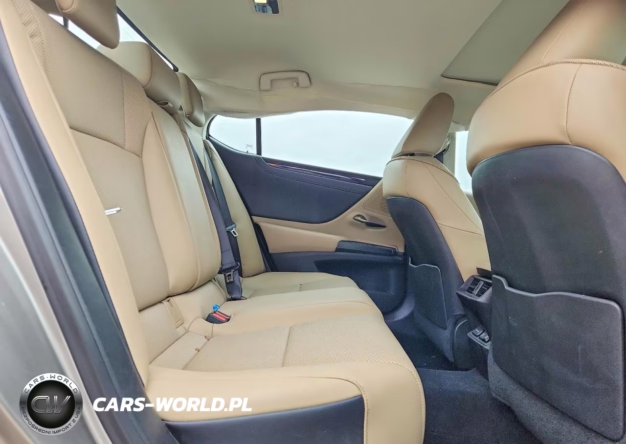 2020 Lexus Es 350 Base VIN:58ADZ1B10LU059456 - 10