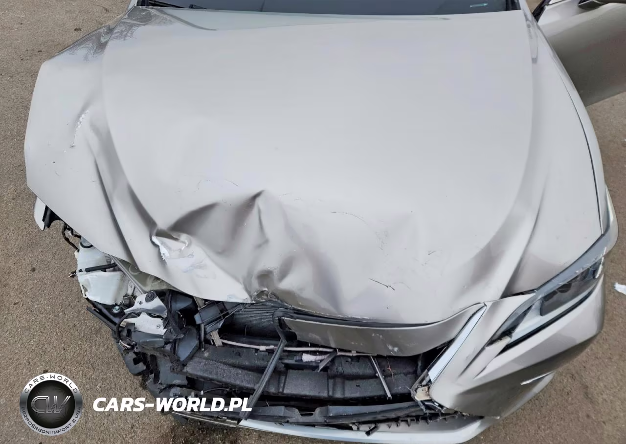 2020 Lexus Es 350 Base VIN:58ADZ1B10LU059456 - 11
