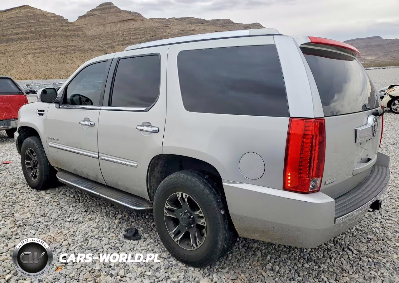 2010 Cadillac Escalade Luxury VIN:1GYUKBEF9AR135991 - 2