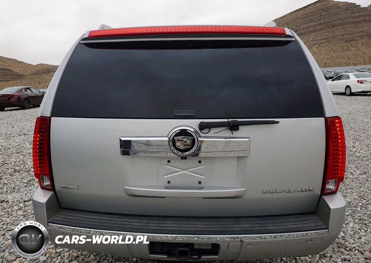 2010 Cadillac Escalade Luxury VIN:1GYUKBEF9AR135991 - 6