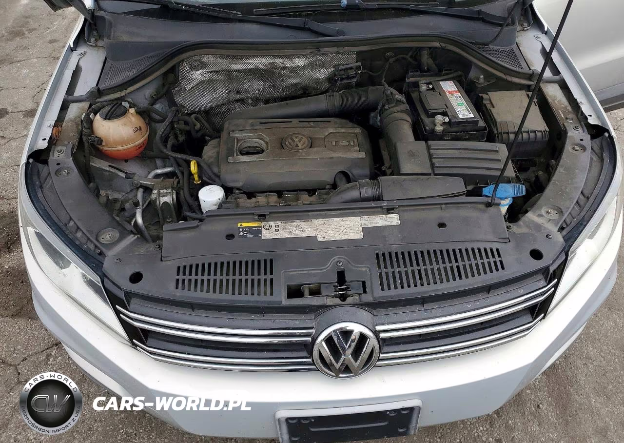 2013 Volkswagen Tiguan S VIN:WVGAV3AX6DW609692 - 12