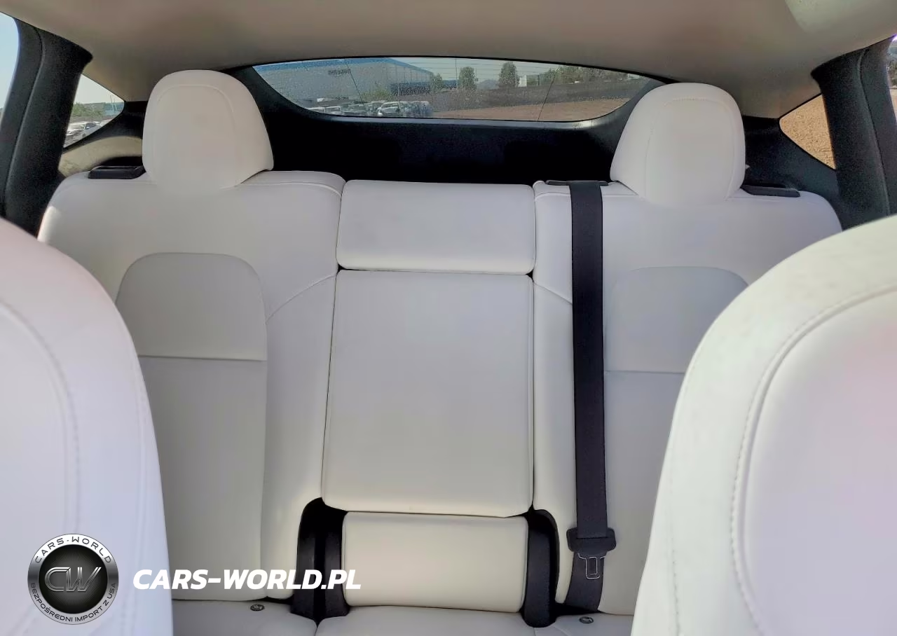 2024 Tesla Model Y VIN:7SAYGAEE5RF064237 - 10