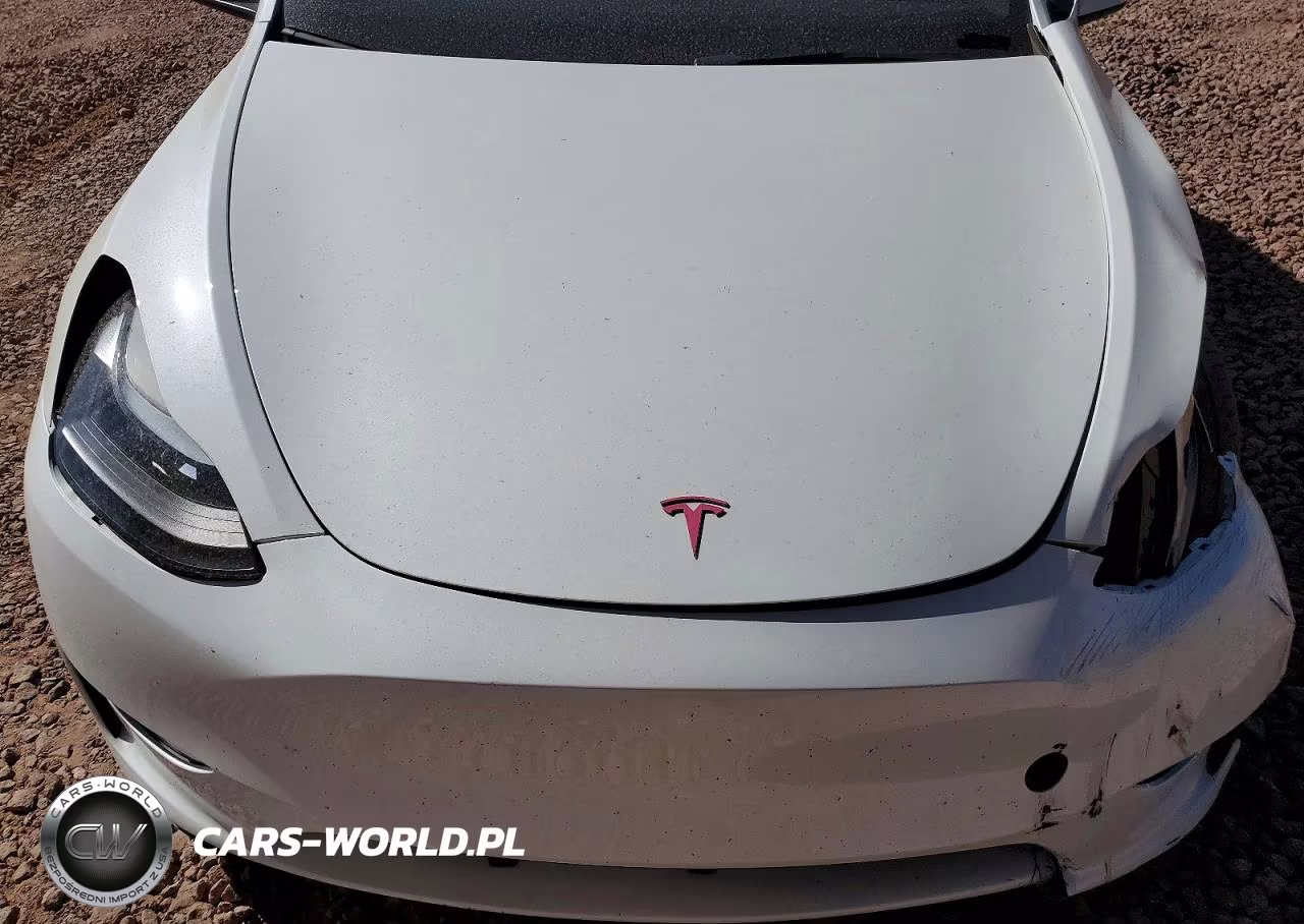 2024 Tesla Model Y VIN:7SAYGAEE5RF064237 - 12