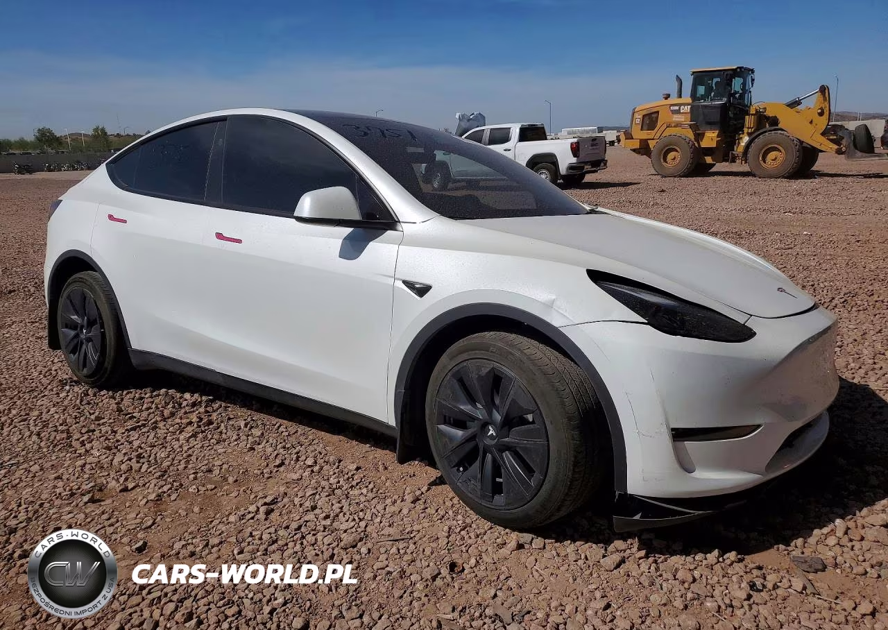 2024 Tesla Model Y VIN:7SAYGAEE5RF064237 - 4