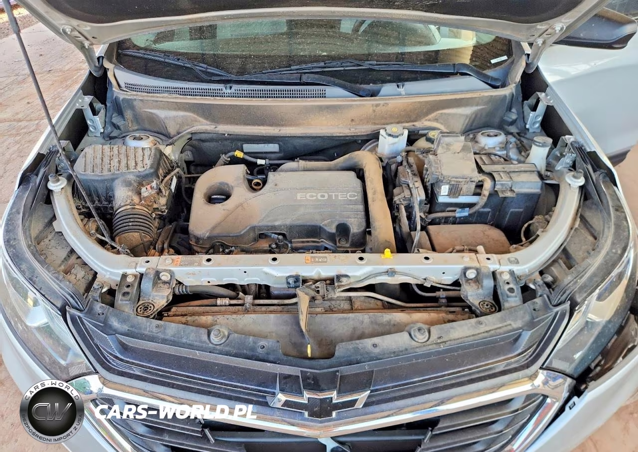 2019 Chevrolet Equinox Ls VIN:2GNAXHEV8K6180400 - 12