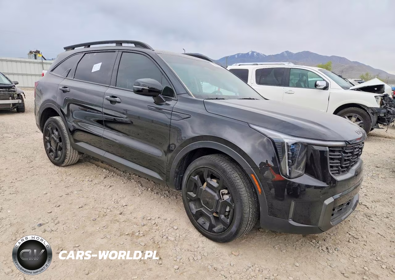 2025 Kia Sorento X-Line Ex VIN:5XYRHDJF6SG352796 - 4