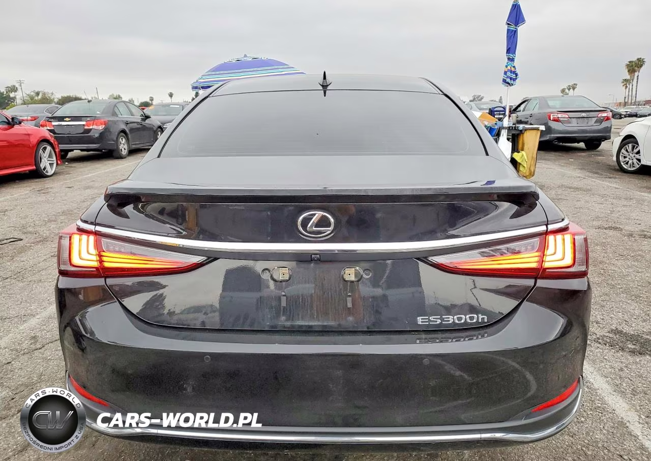 2025 Lexus Es 300H Base VIN:58ADA1C17SU067428 - 6