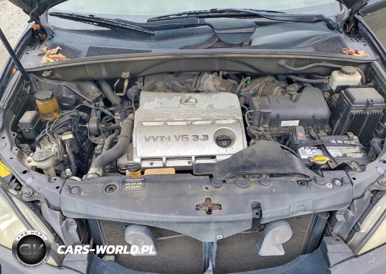 2006 Lexus Rx 330 Base VIN:2T2GA31U36C044003 - 12