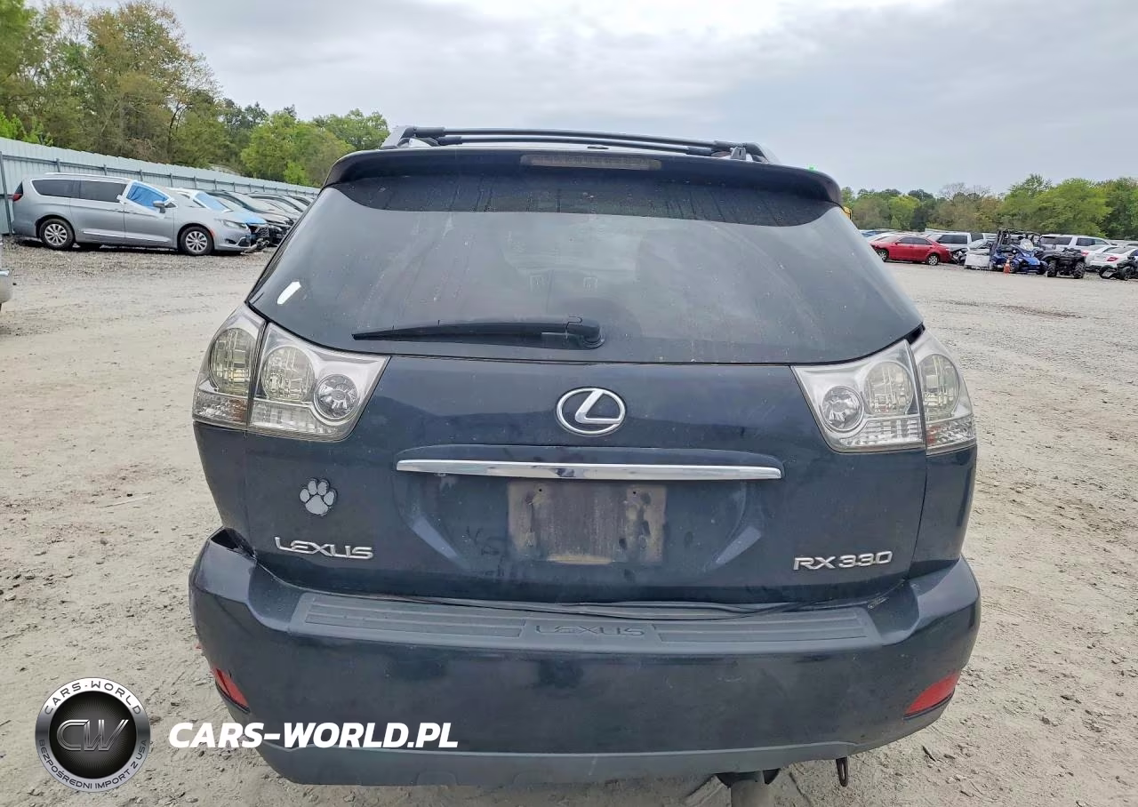 2006 Lexus Rx 330 Base VIN:2T2GA31U36C044003 - 6