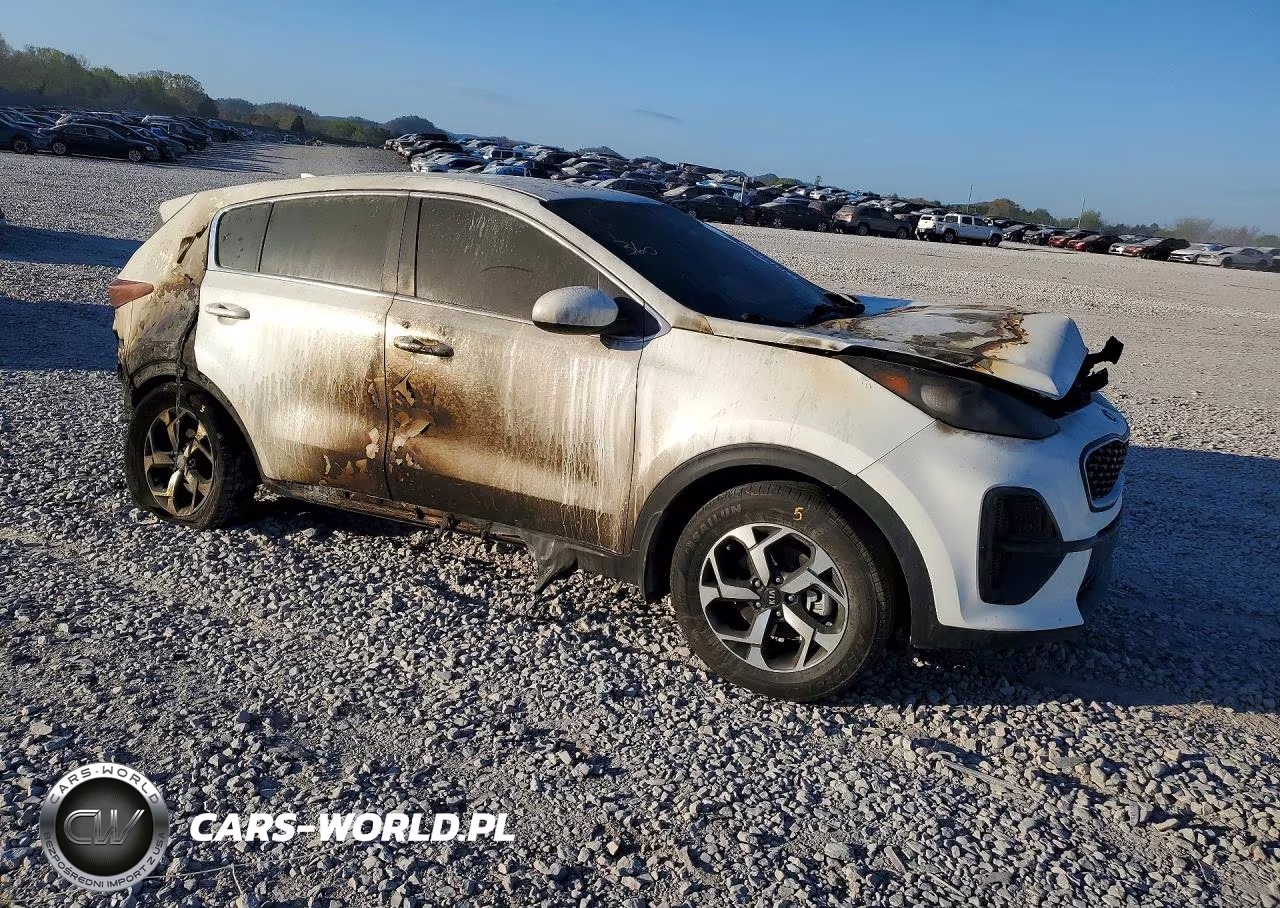 2022 Kia Sportage Lx VIN:KNDPM3AC5N7969210 - 4