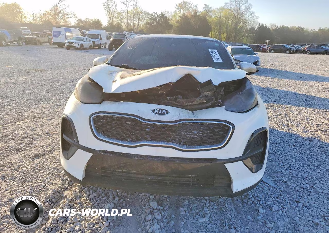 2022 Kia Sportage Lx VIN:KNDPM3AC5N7969210 - 5