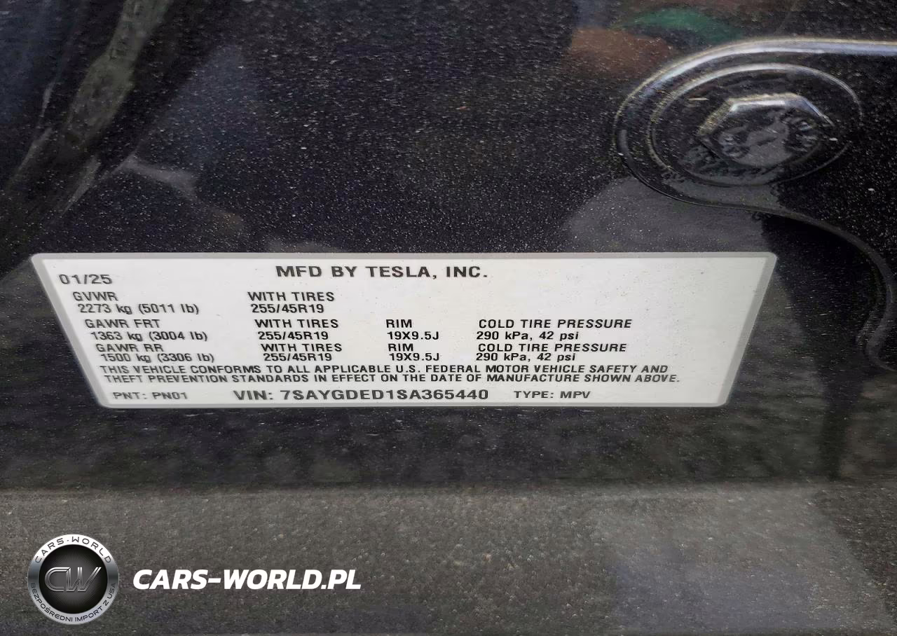 2025 Tesla Model Y VIN:7SAYGDED1SA365440 - 12