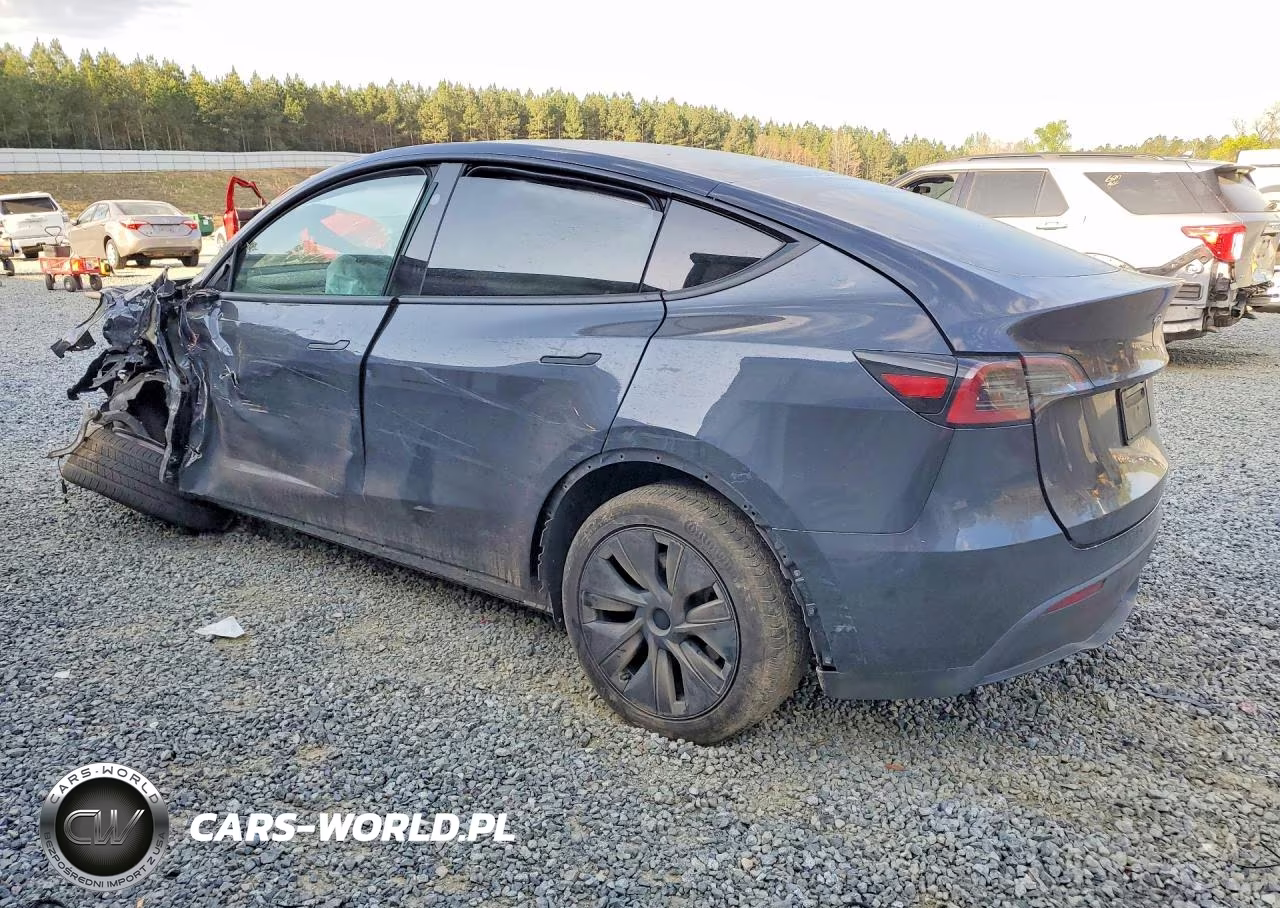 2025 Tesla Model Y VIN:7SAYGDED1SA365440 - 2