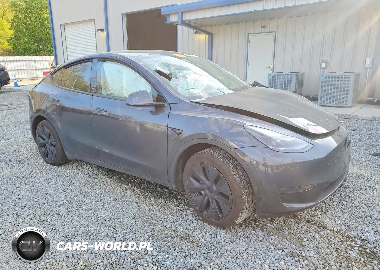 2025 Tesla Model Y VIN:7SAYGDED1SA365440 - 4