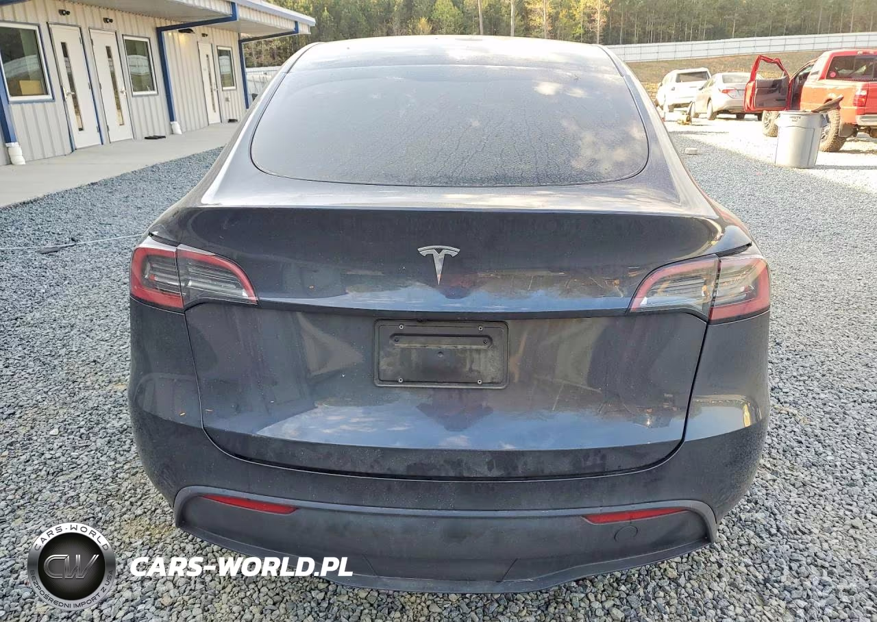 2025 Tesla Model Y VIN:7SAYGDED1SA365440 - 6