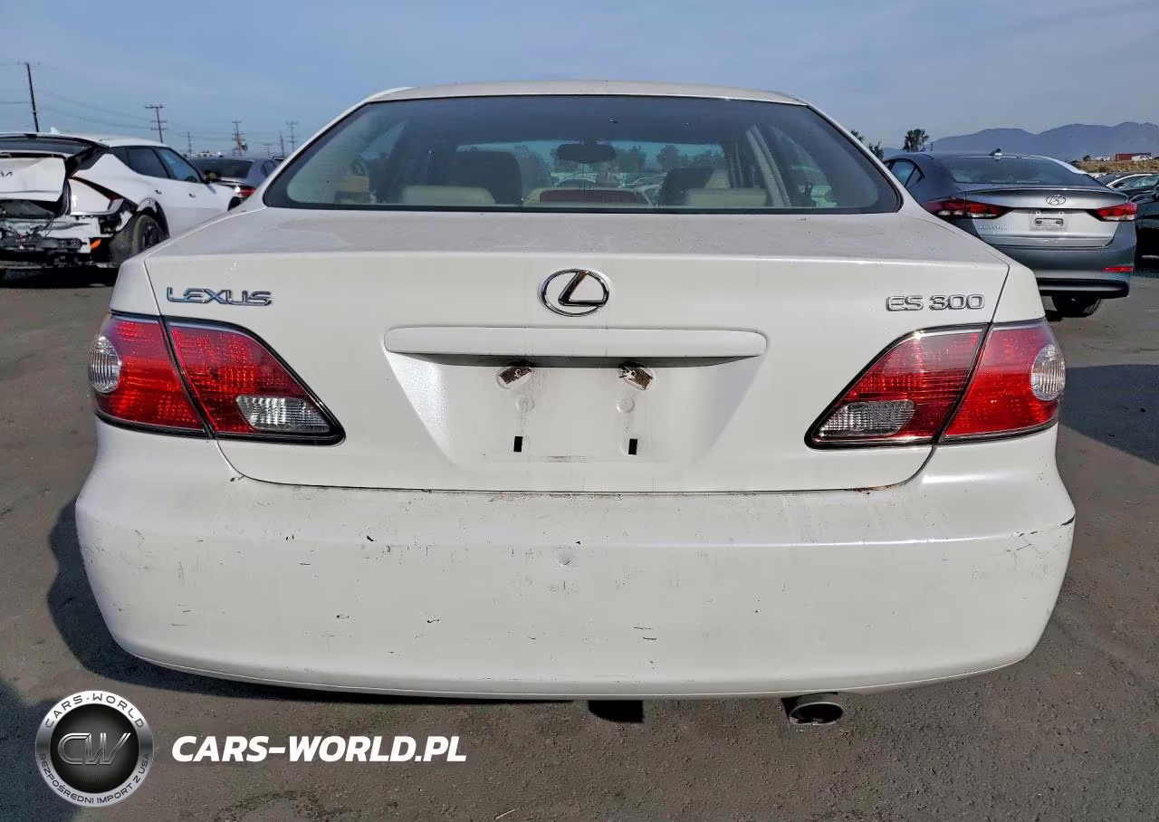 2003 Lexus Es 300 Base VIN:JTHBF30G736021255 - 6