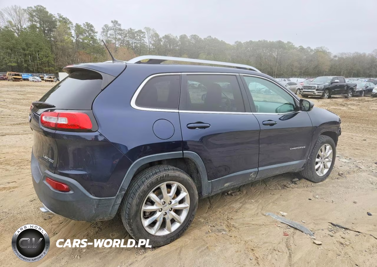 2014 Jeep Cherokee VIN:1C4PJMDS5EW197766 - 3