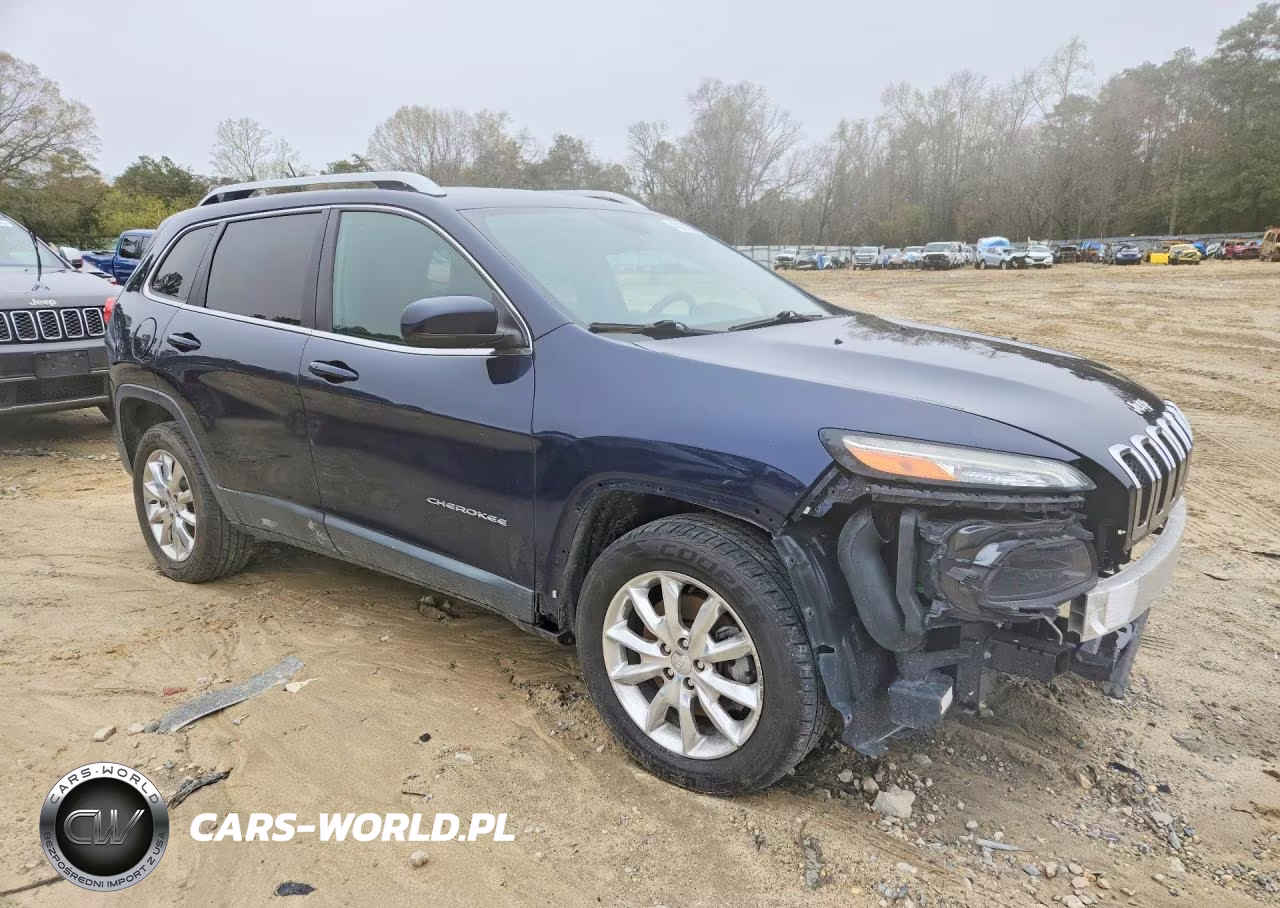 2014 Jeep Cherokee VIN:1C4PJMDS5EW197766 - 4