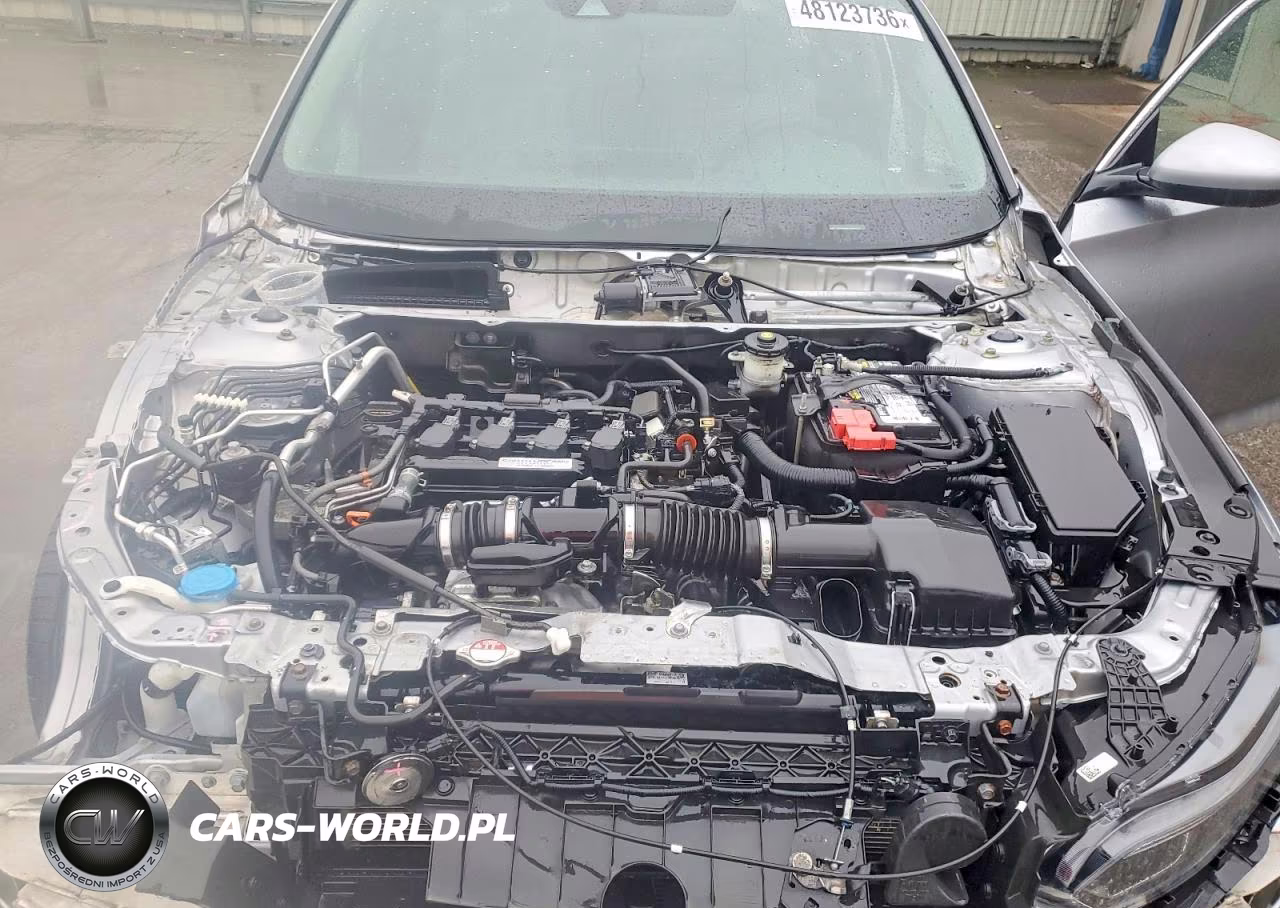 2019 Honda Accord Lx VIN:1HGCV1F16KA079841 - 11