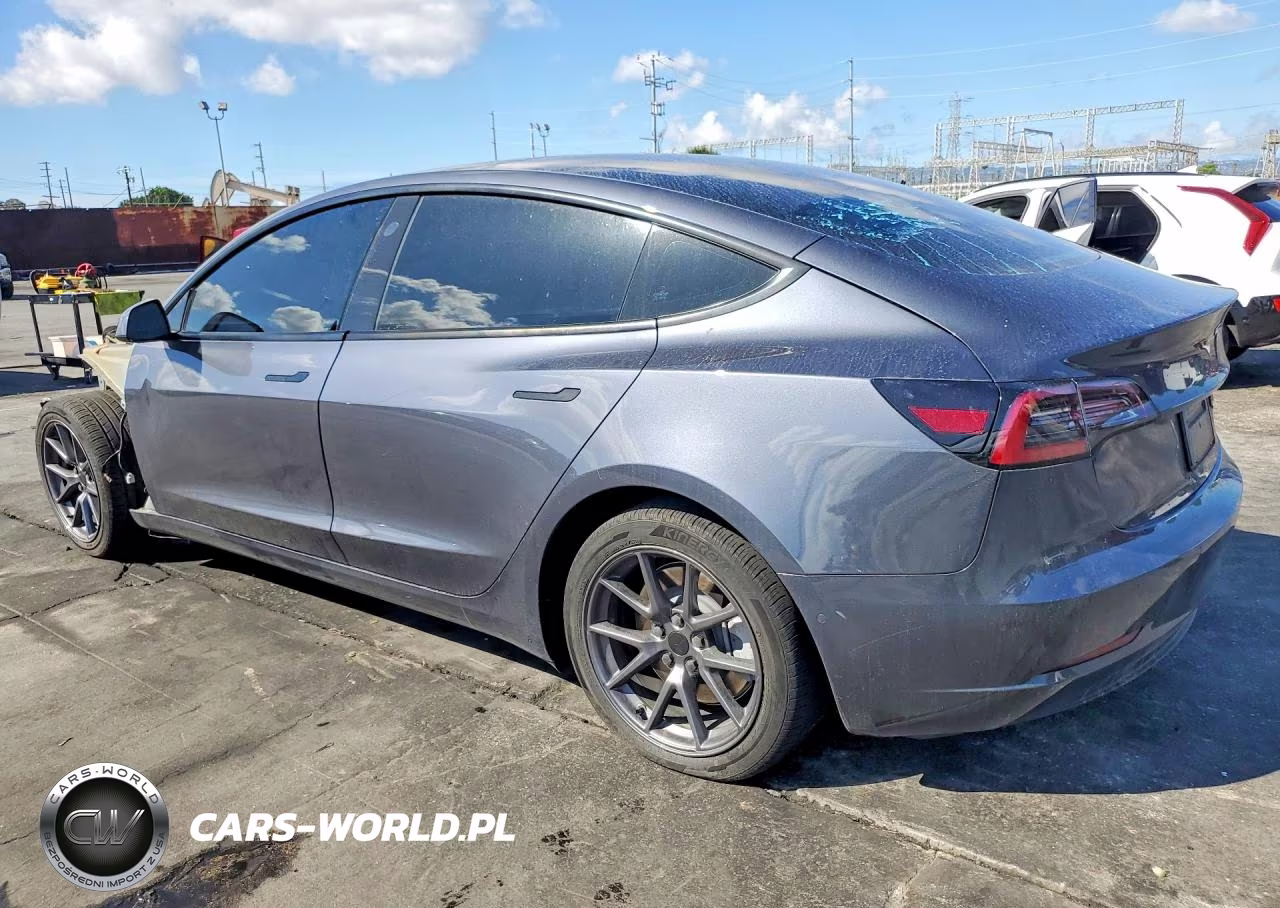 2022 Tesla Model 3 VIN:5YJ3E1EA1NF295981 - 2