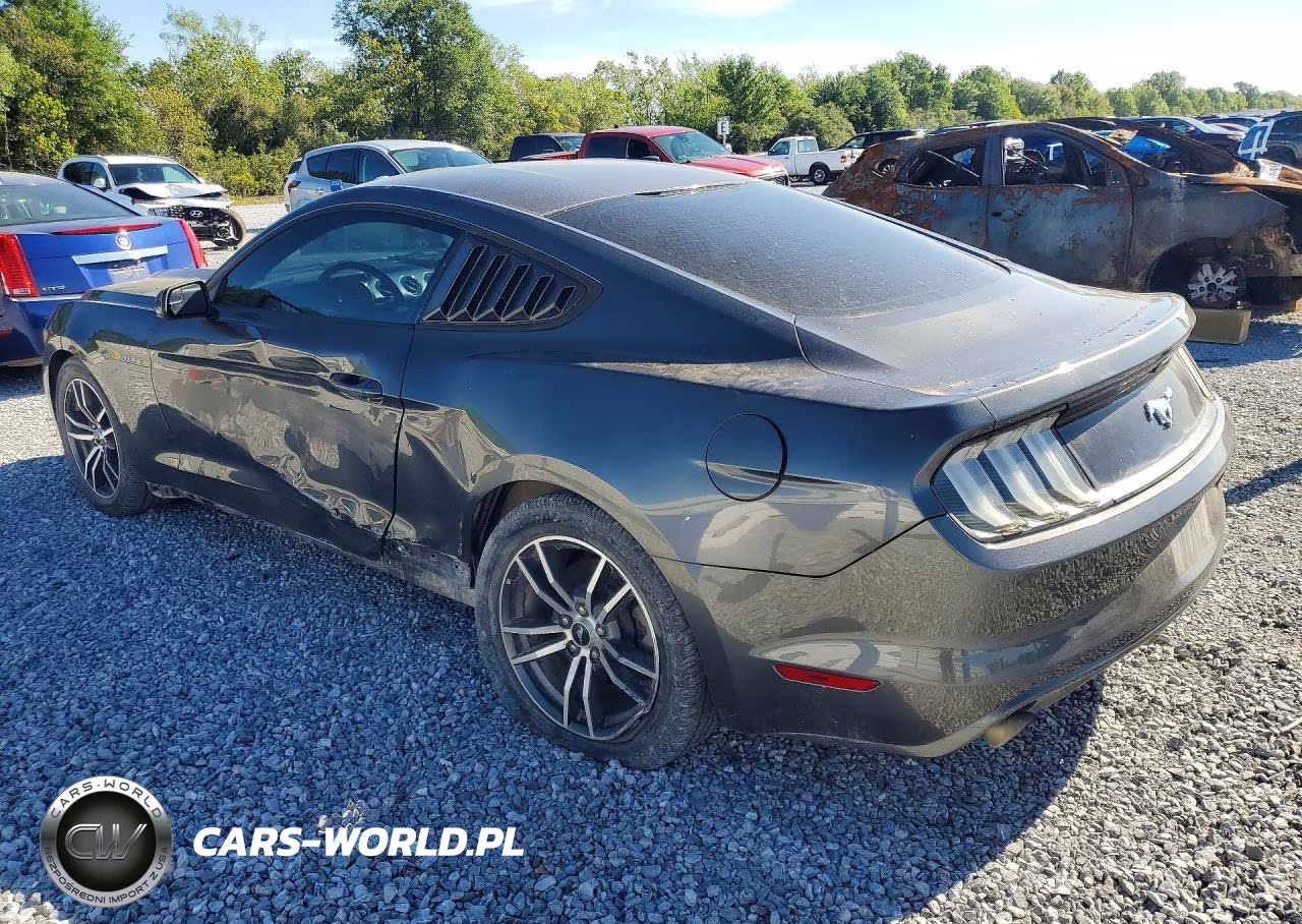 2016 Ford Mustang VIN:1FA6P8TH8G5252295 - 2