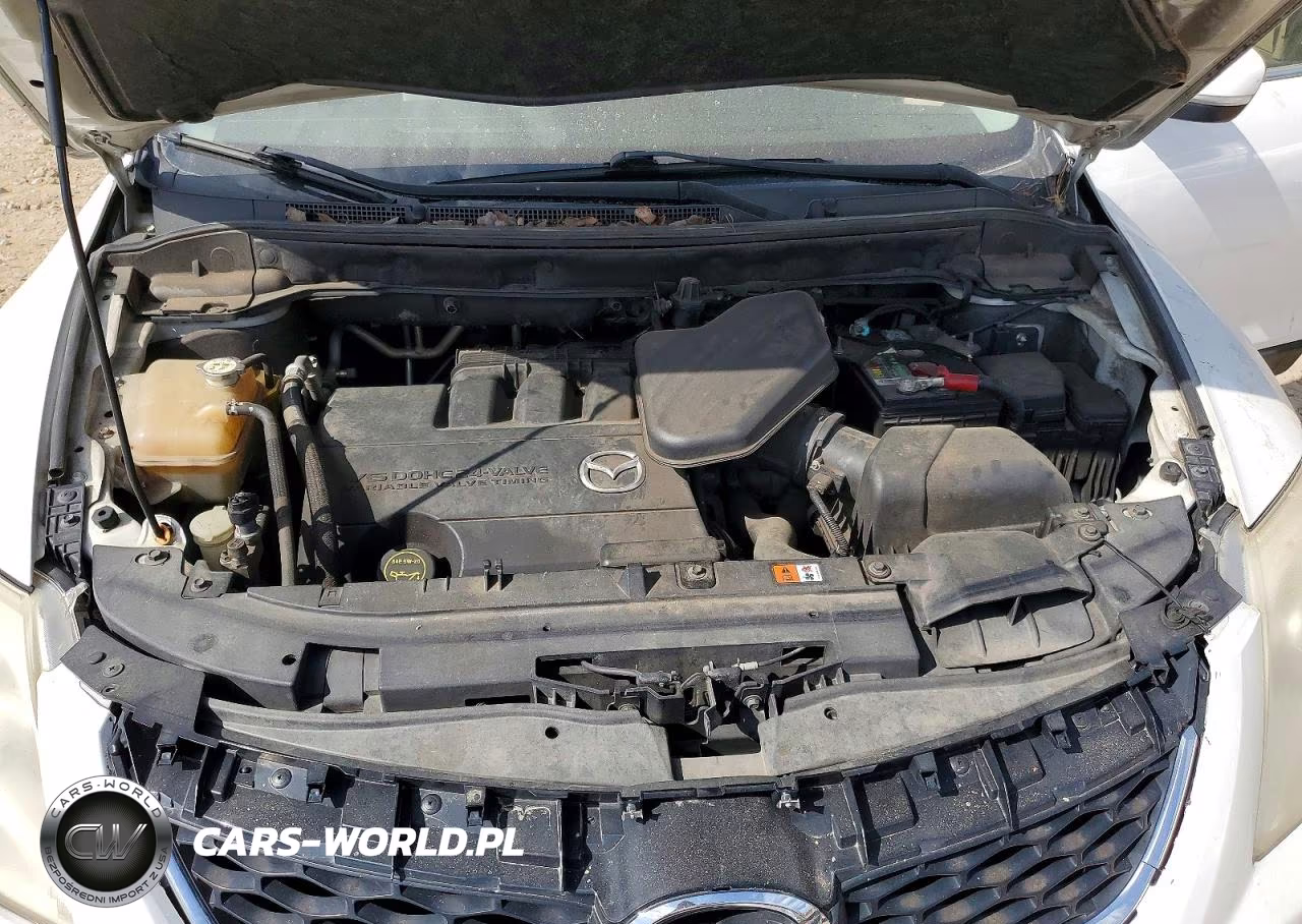2010 Mazda Cx-9 Grand Touring VIN:JM3TB2MA3A0200448 - 12