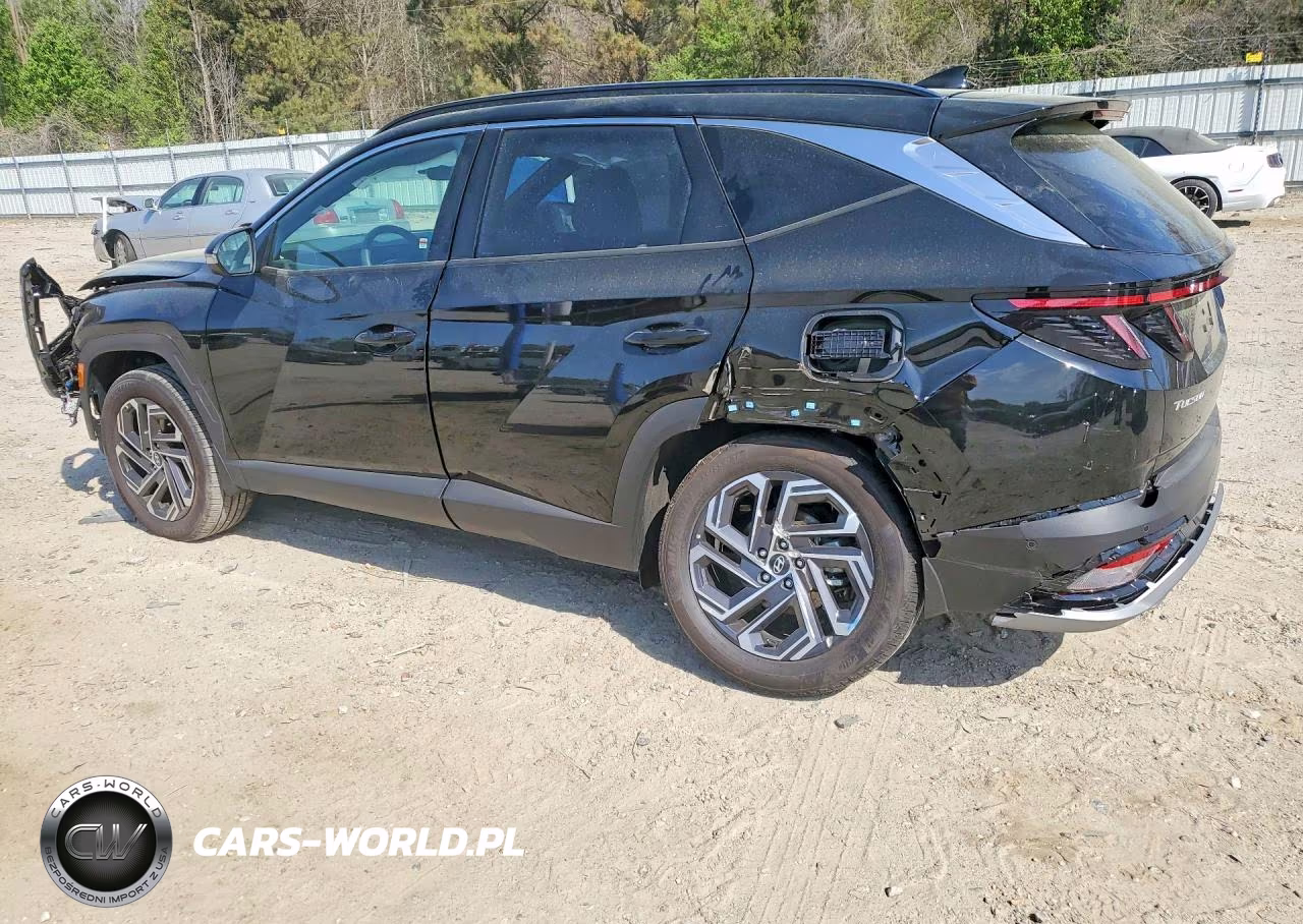 2025 Hyundai Tucson Hybrid Limited VIN:KM8JEDD16SU379139 - 2