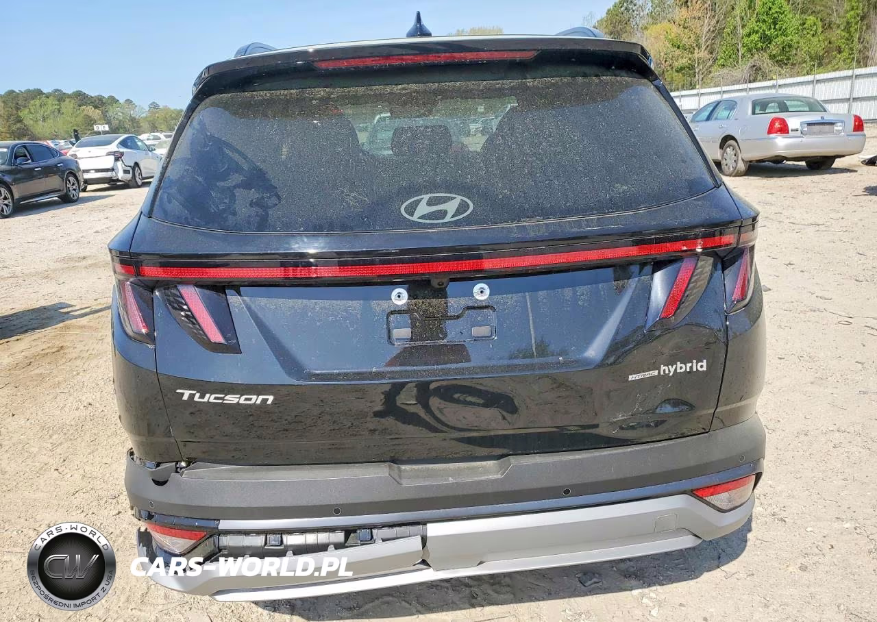 2025 Hyundai Tucson Hybrid Limited VIN:KM8JEDD16SU379139 - 6