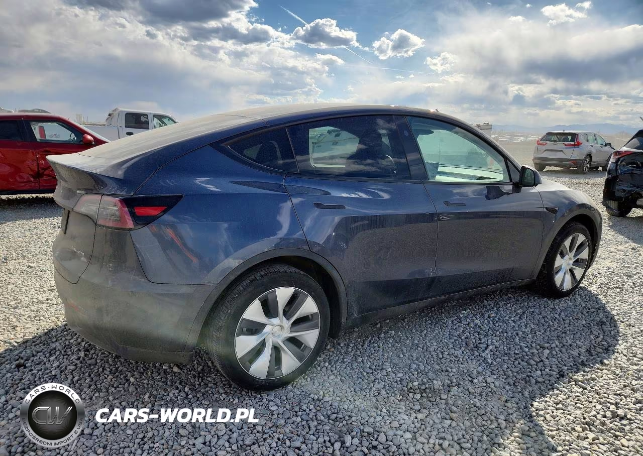 2023 Tesla Model Y VIN:7SAYGDEE6PA201956 - 3