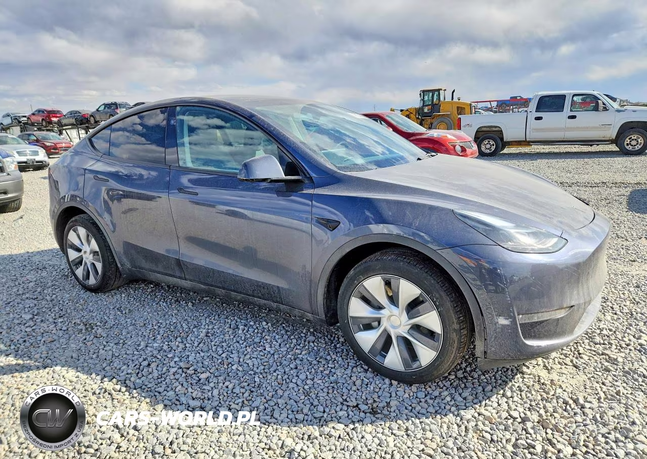 2023 Tesla Model Y VIN:7SAYGDEE6PA201956 - 4
