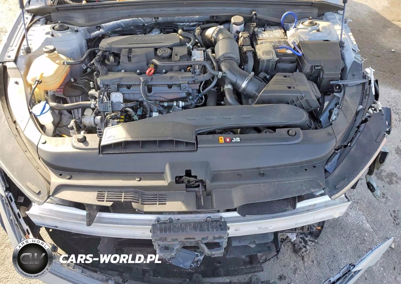 2024 Kia K5 VIN:5XXG64J26RG250567 - 11
