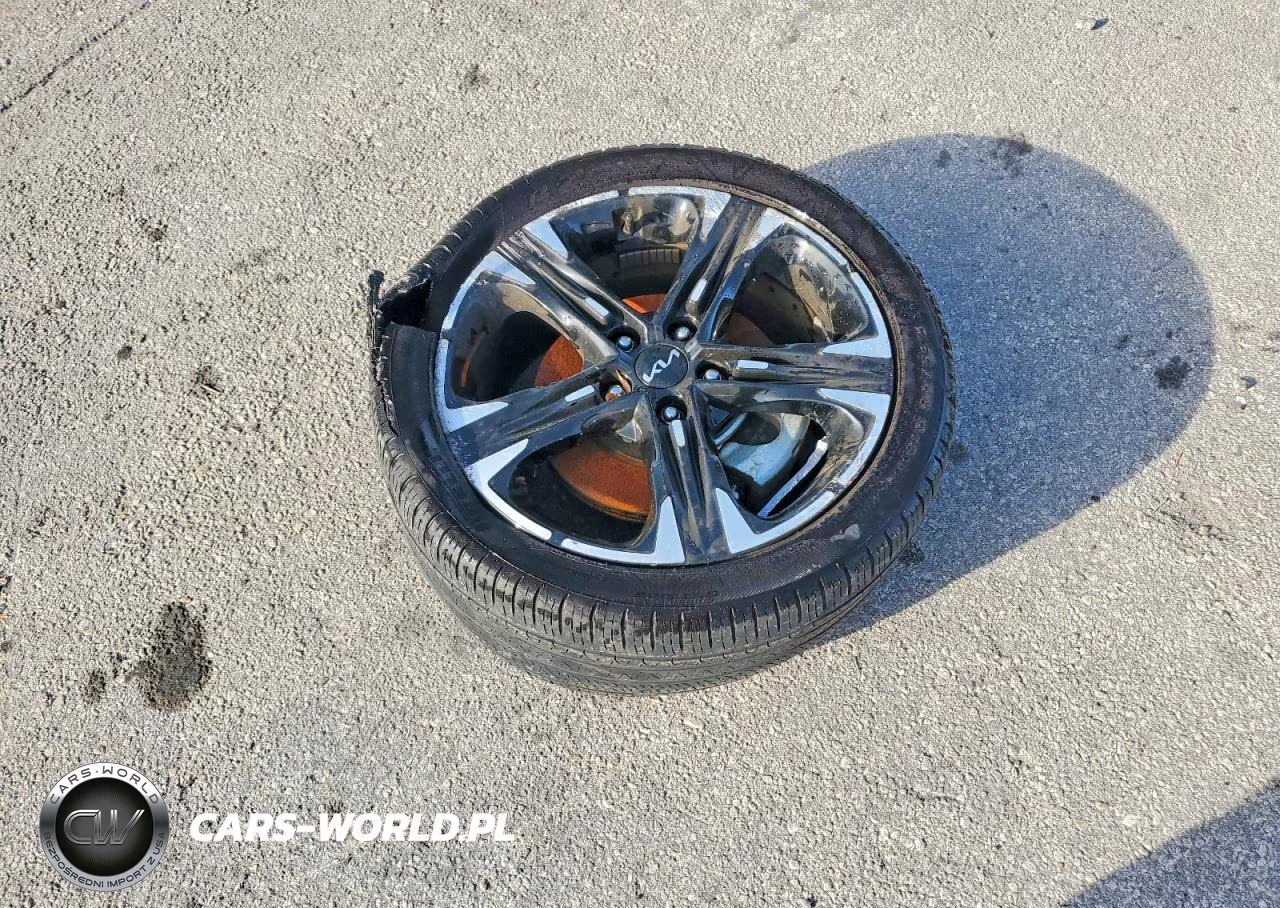 2024 Kia K5 VIN:5XXG64J26RG250567 - 12