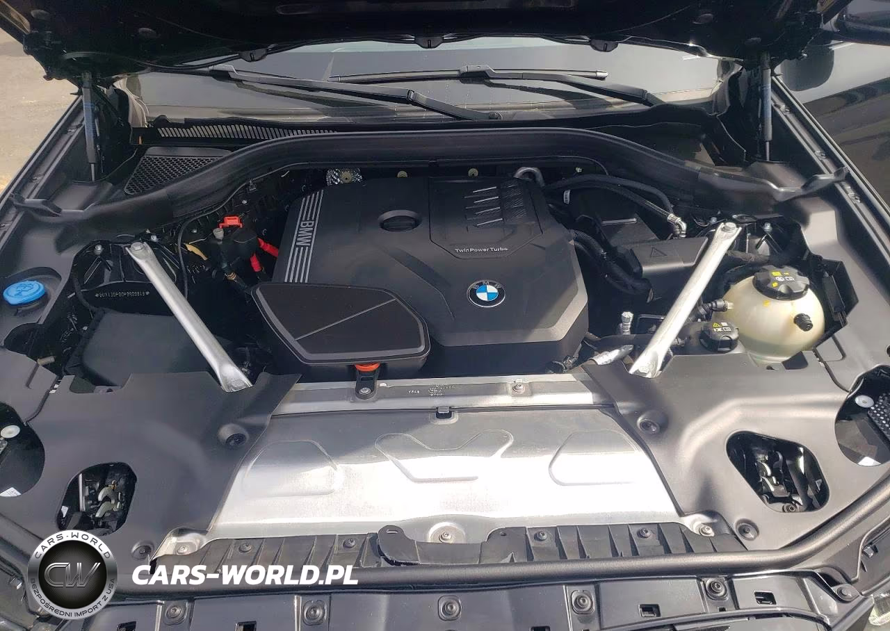 2023 BMW X3 Sdrive30I VIN:5UX43DP00P9R09849 - 12