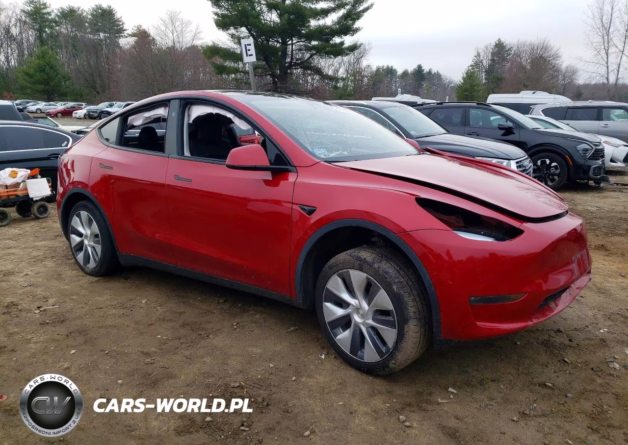 2023 Tesla Model Y VIN:7SAYGDEE2PA171094 - 4
