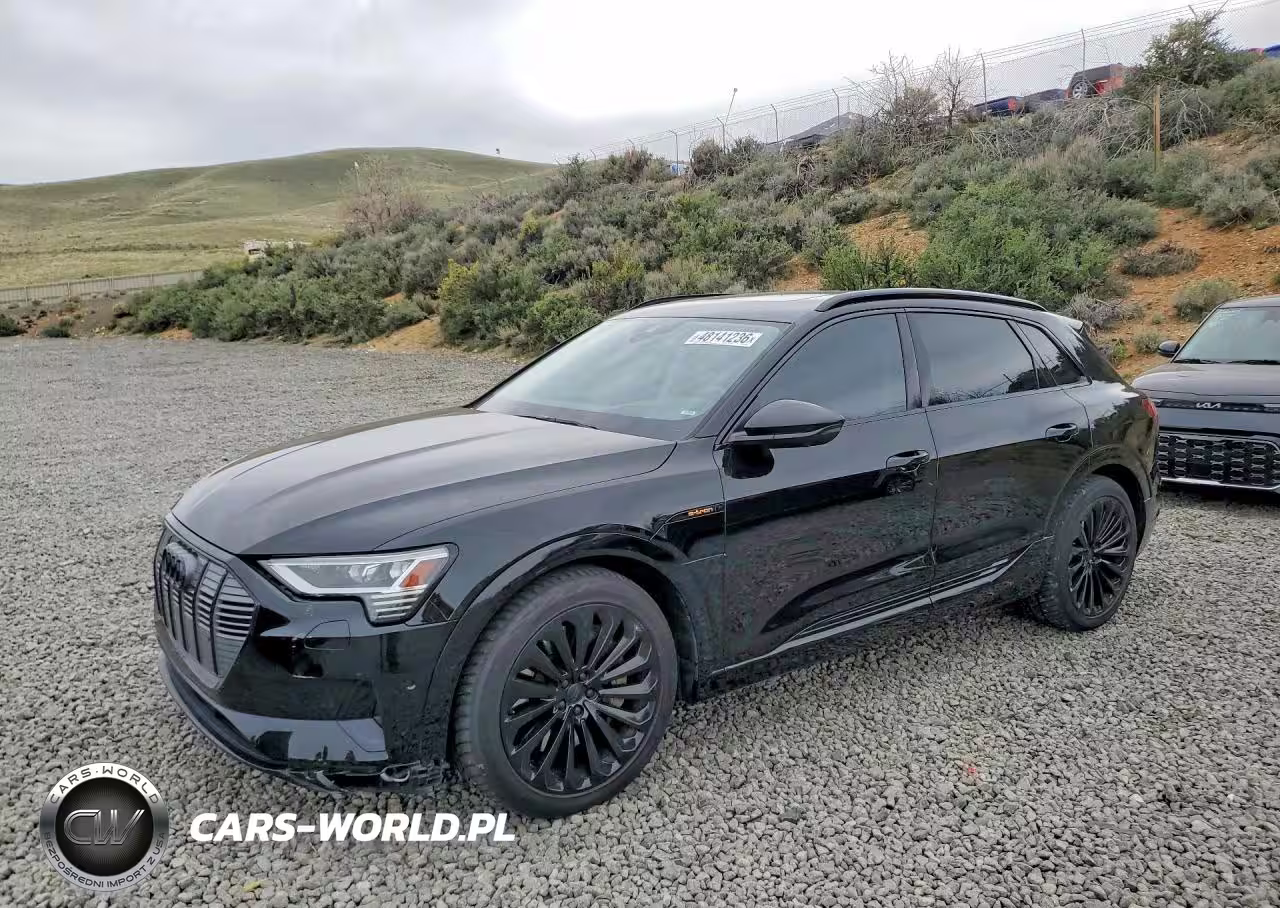 2019 Audi E-Tron Prestige