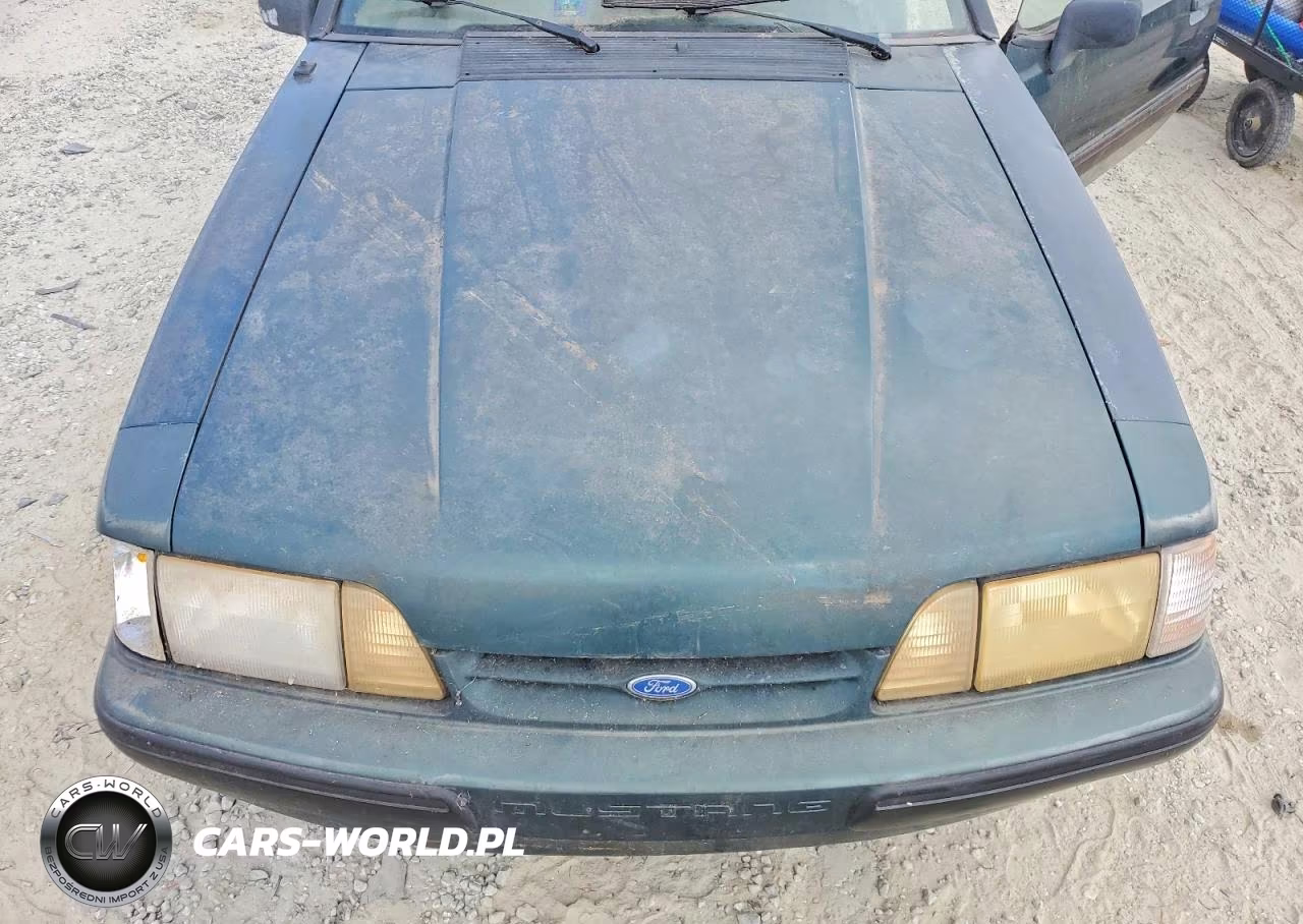 1991 Ford Mustang VIN:1FACP44E3MF102827 - 11