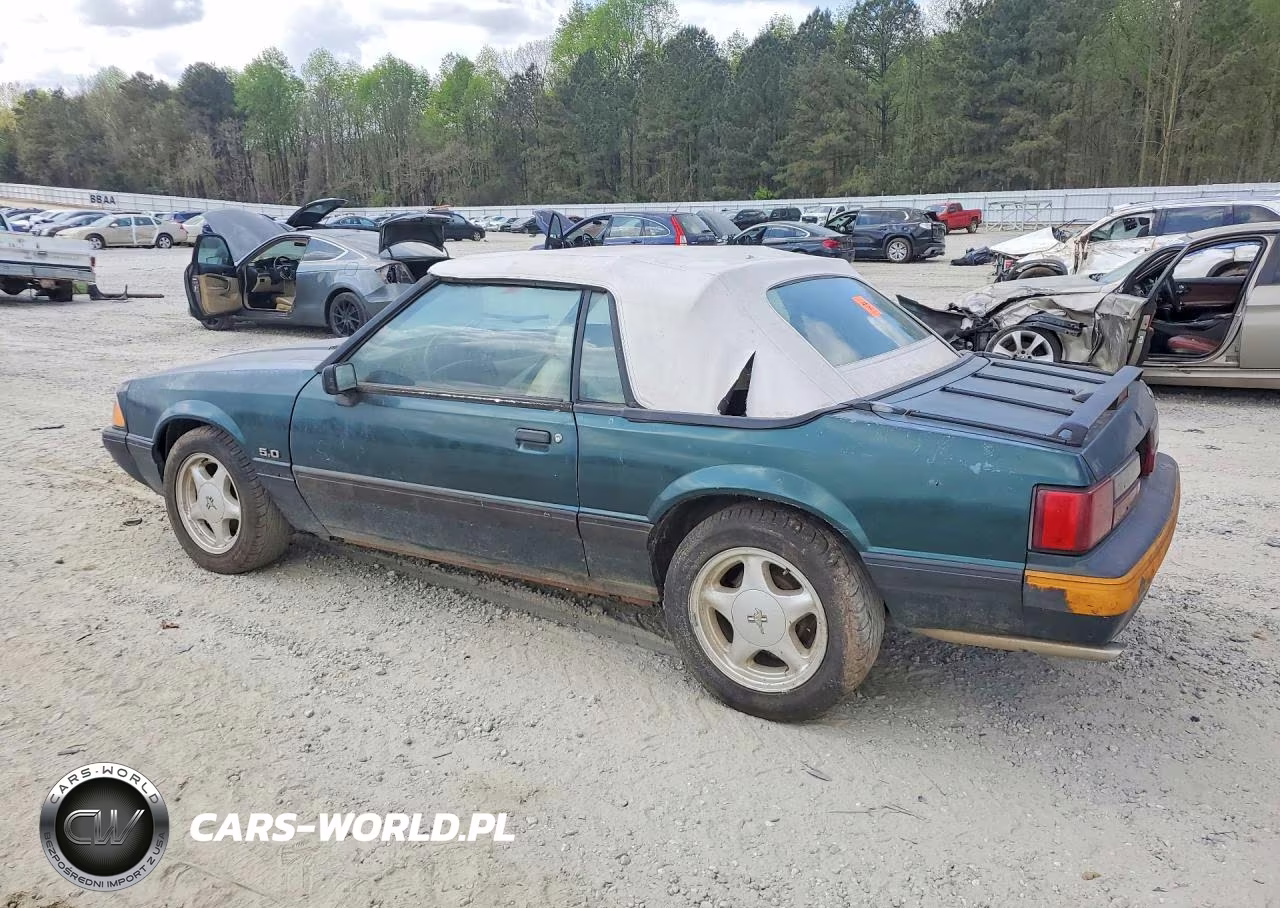 1991 Ford Mustang VIN:1FACP44E3MF102827 - 2