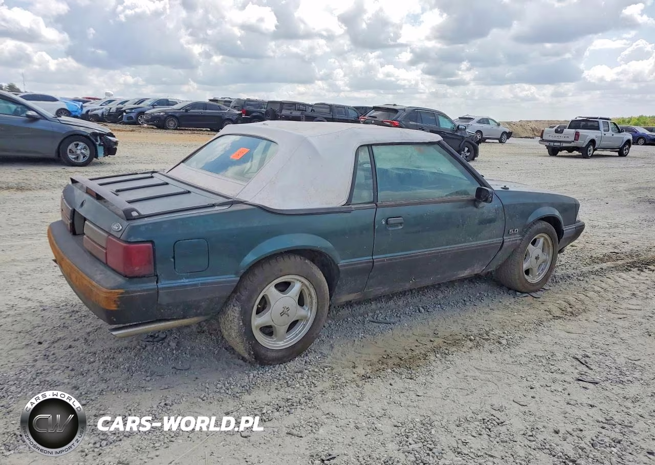 1991 Ford Mustang VIN:1FACP44E3MF102827 - 3