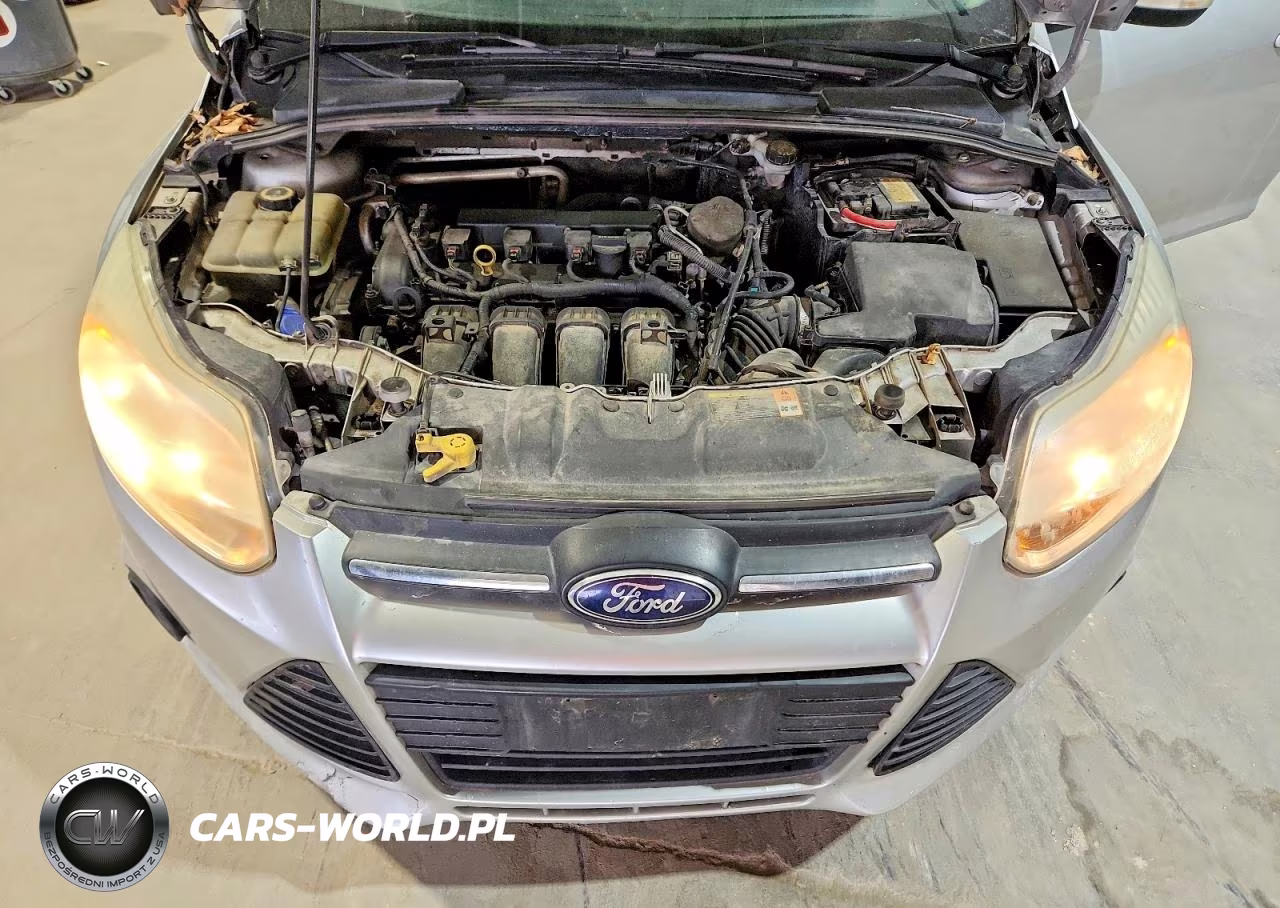 2013 Ford Focus Se VIN:1FADP3F24DL269488 - 11
