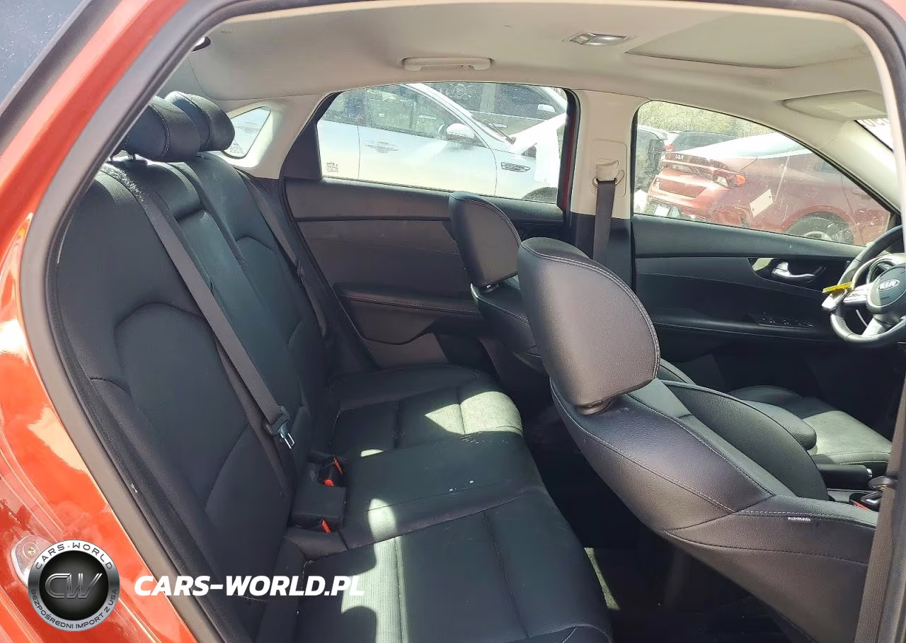 2019 Kia Forte Ex VIN:3KPF54AD9KE087332 - 10