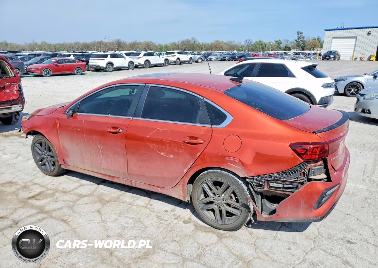 2019 Kia Forte Ex VIN:3KPF54AD9KE087332 - 2