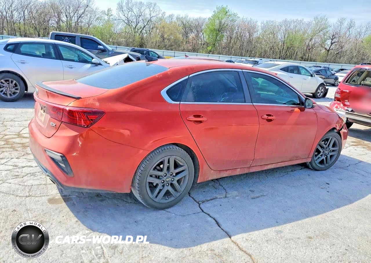 2019 Kia Forte Ex VIN:3KPF54AD9KE087332 - 3