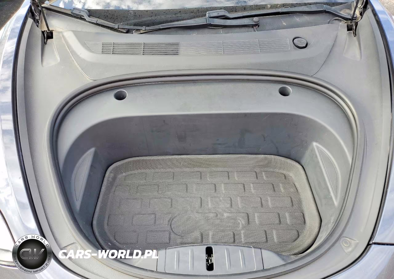 2021 Tesla Model 3 VIN:5YJ3E1EA0MF930199 - 11